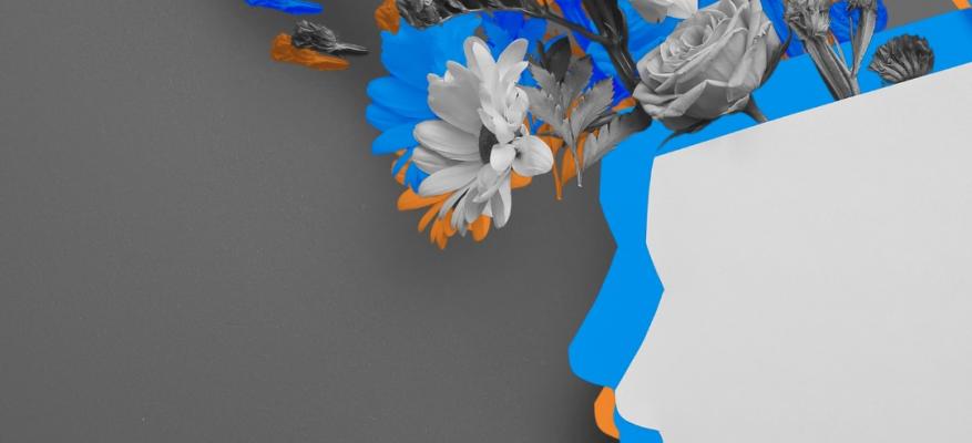 Call για συμμετοχή σε πρόγραμμα εκπαίδευσης Youth Professionals (ROLES – Erasmus+)