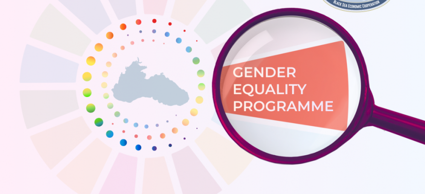 ICBSS Gender Equality Programme (GEP)
