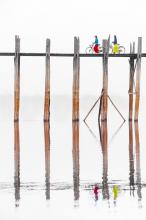 ΦΩΤΟΓΡΑΦΙΚΗ ΕΚΘΕΣΗ "ΧΡΩΜΑΤΑ ΤΗΣ ΑΣΙΑΣ" της Τετιάνα Ρήσενκο