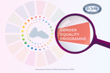 ICBSS Gender Equality Programme (GEP) ICBSS Gender Equality Programme (GEP)