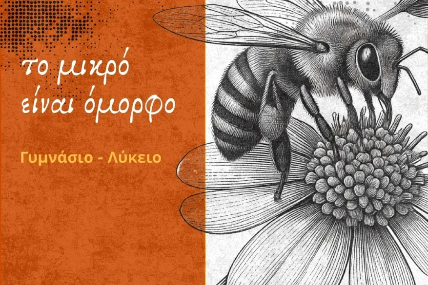 Εκπαιδευτική εργαλειοθήκη (βιβλία)