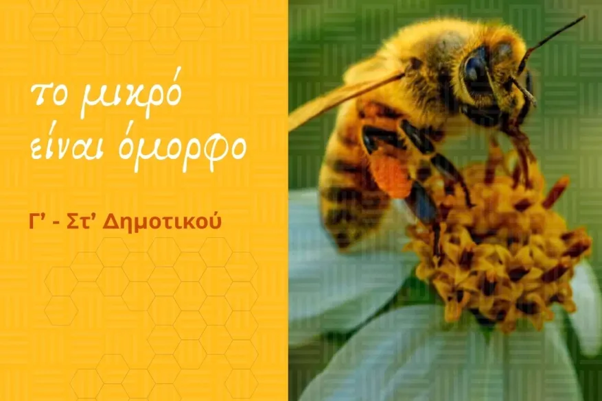 Εκπαιδευτική εργαλειοθήκη (βιβλία)